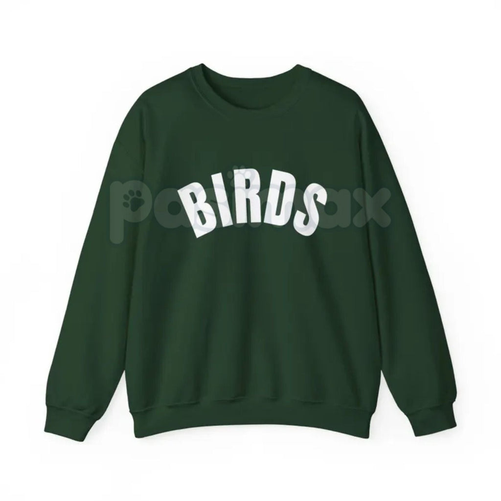 BIRDS Sweatshirt | Minimalist Ornithology Nature Jumper | Bird Watcher Wildlife Crewneck | Nature Lover Gift