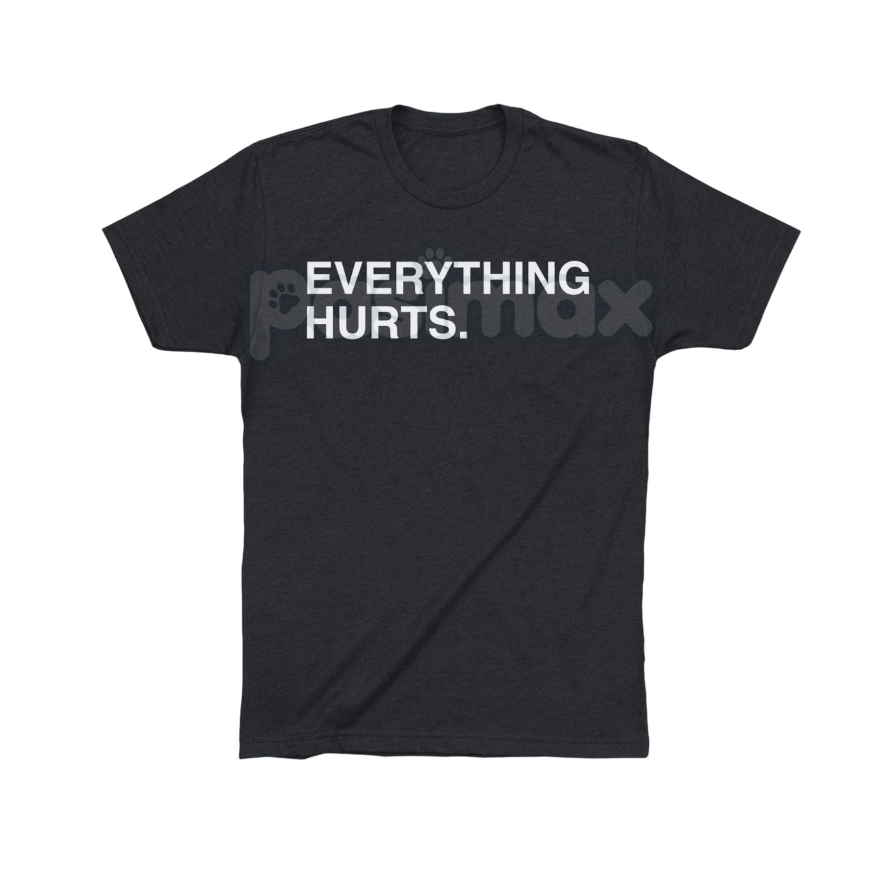 "EVERYTHING HURTS" Funny Graphic Tee - Workout & Chronic Pain Sarcastic Statement Shirt, Unisex Humor Apparel