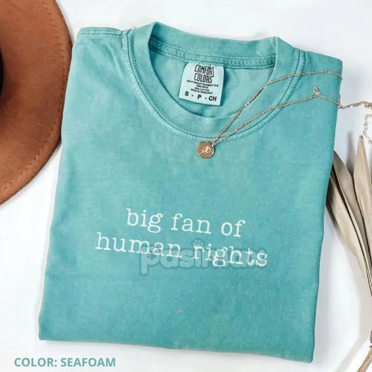 Comfort Colors® 'Big Fan of Human Rights' T-Shirt – Ironic Equality Statement Tee, Minimalist Social Justice Shirt, Essential Beliefs Top