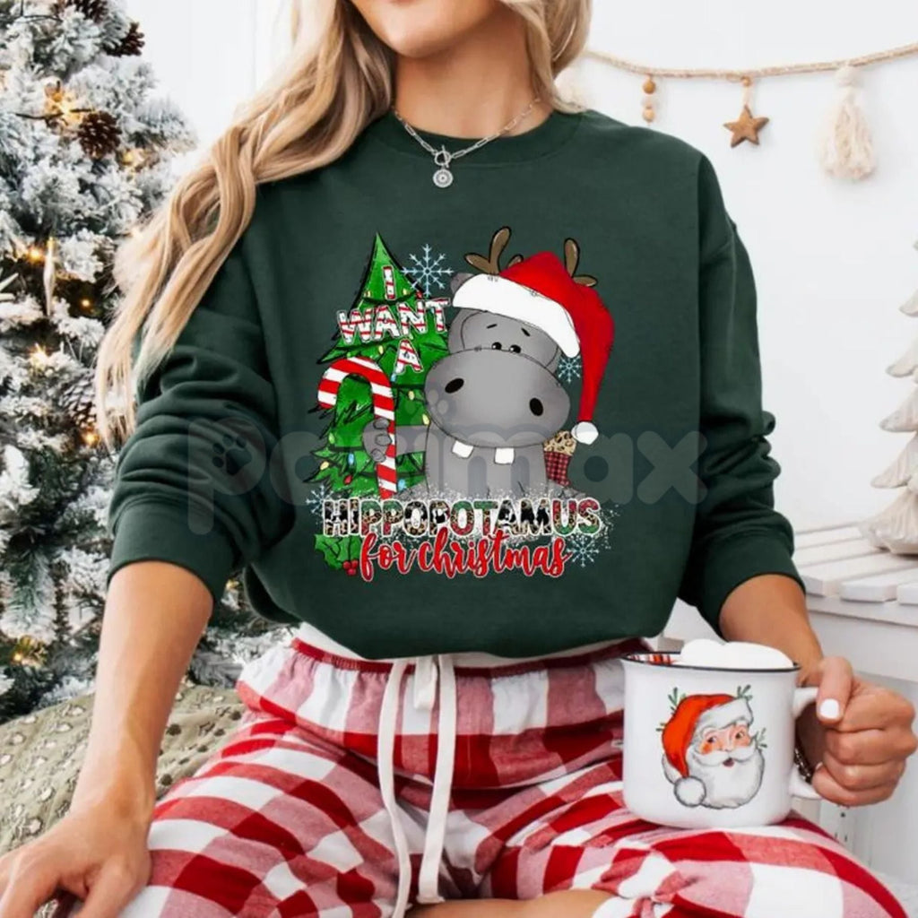 I Want a Hippopotamus for Christmas Sweatshirt | Cute Nostalgic Holiday Song Jumper | Funny Hippo Xmas Crewneck Gift