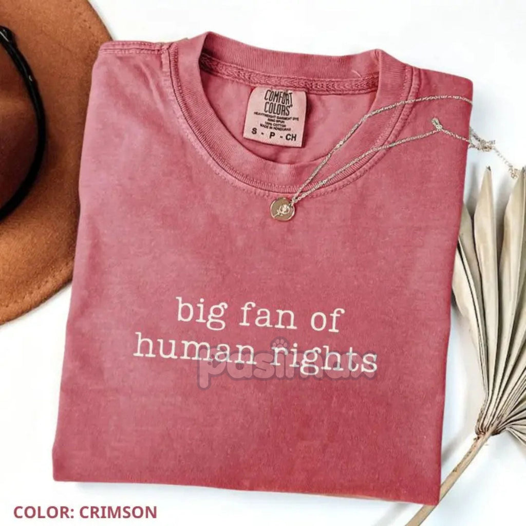 Comfort Colors® 'Big Fan of Human Rights' T-Shirt – Ironic Equality Statement Tee, Minimalist Social Justice Shirt, Essential Beliefs Top