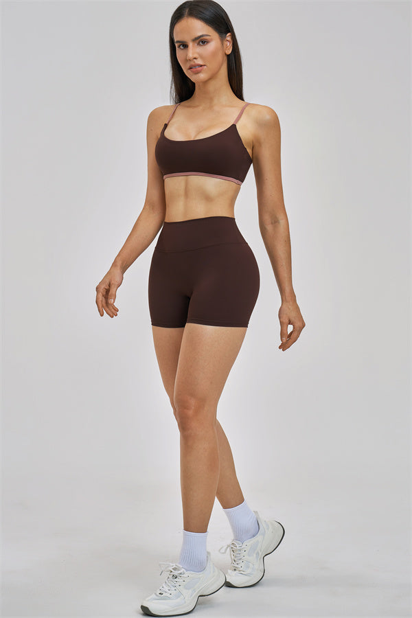 The New Seraphine Sports Bra