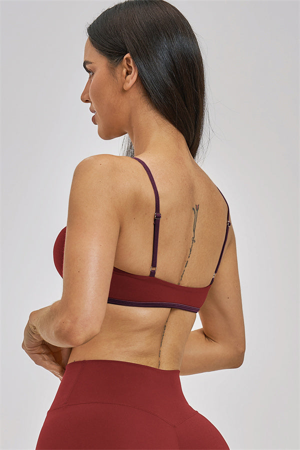 The New Seraphine Sports Bra