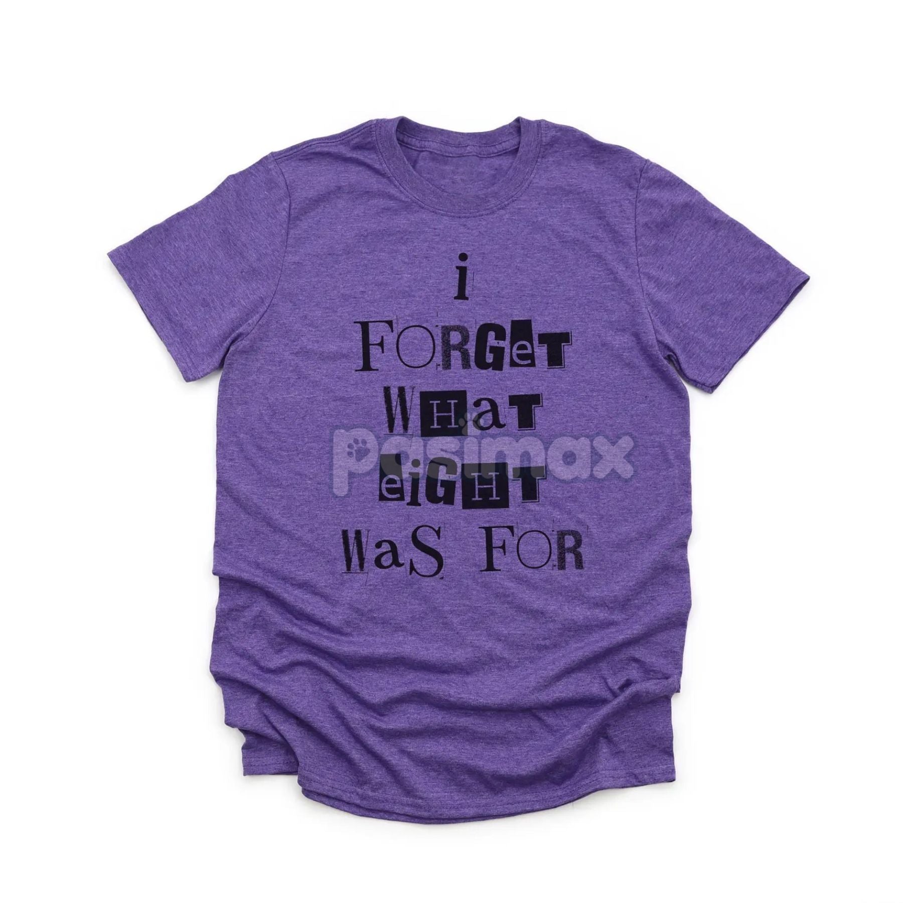 'I Forget What Eight Was For' Subversive T-Shirt – Violent Femmes Lyric Tee, Cult Classic Alternative Music Merch, Acoustic Punk Apparel