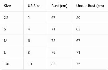 4Pcs Daily Lace Trim Women's Underwear Set Rib Knit Push up Underwire Bra Airy & Stylish Women's Bra