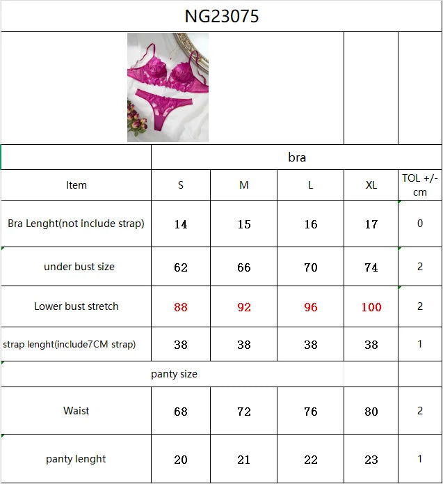 Floral San Valentín encantador breve panty ropa interior Sexy camisón elegante V ropa interior breve conjunto para dama