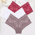 Sexy Lace Panties Women Boyshort Underwear 3Pcs/set Low-Rise Underpants S-XL Ladies Floral Panties Sexy Boyshort Female Lingerie