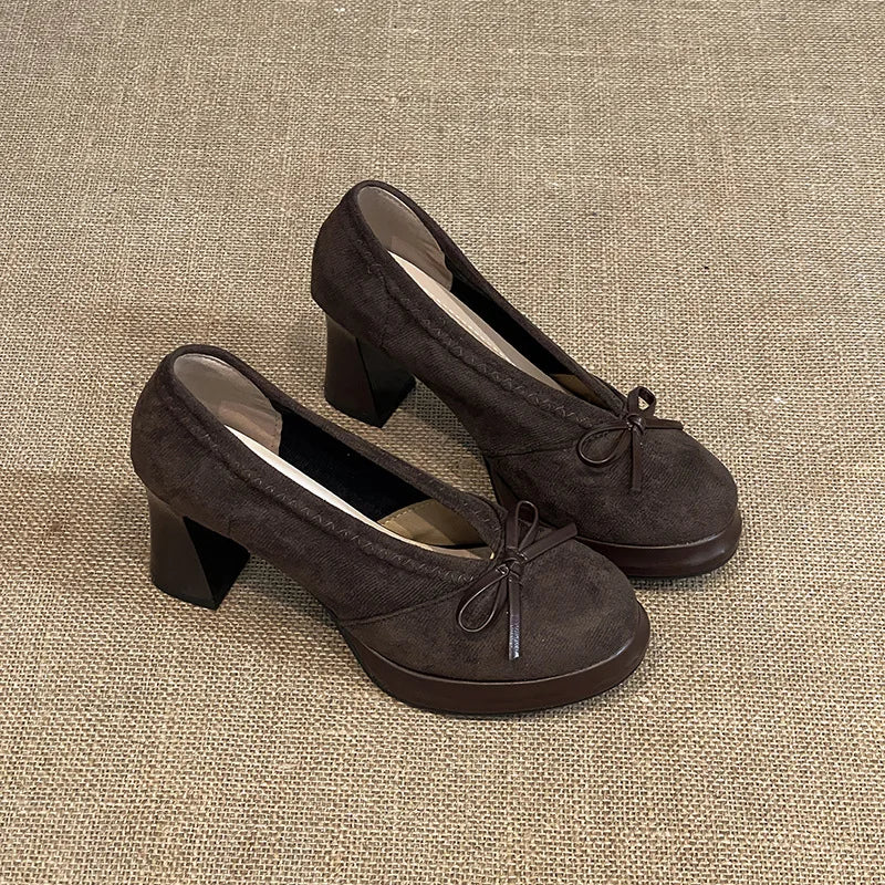 Women's High Heels 2025 Spring Autumn New Vintage Fashion Bow Knot Party Chunky Heels Outdoor Non Slip Luxury Mary Jane Shoes