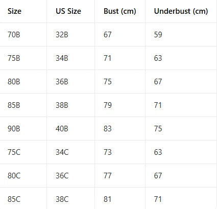 B C Cup Women's Sexy Bras Luxurious Lace Floral Front Clasp Push-Up Bra Beautiful Back Bras Women
