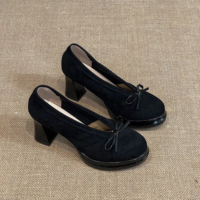 Women's High Heels 2025 Spring Autumn New Vintage Fashion Bow Knot Party Chunky Heels Outdoor Non Slip Luxury Mary Jane Shoes