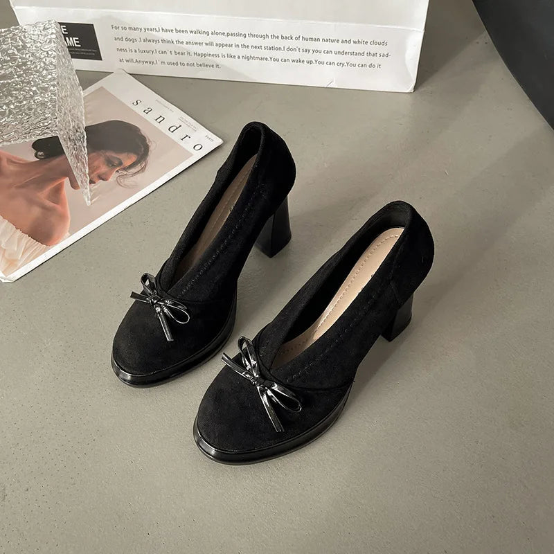 Women's High Heels 2025 Spring Autumn New Vintage Fashion Bow Knot Party Chunky Heels Outdoor Non Slip Luxury Mary Jane Shoes