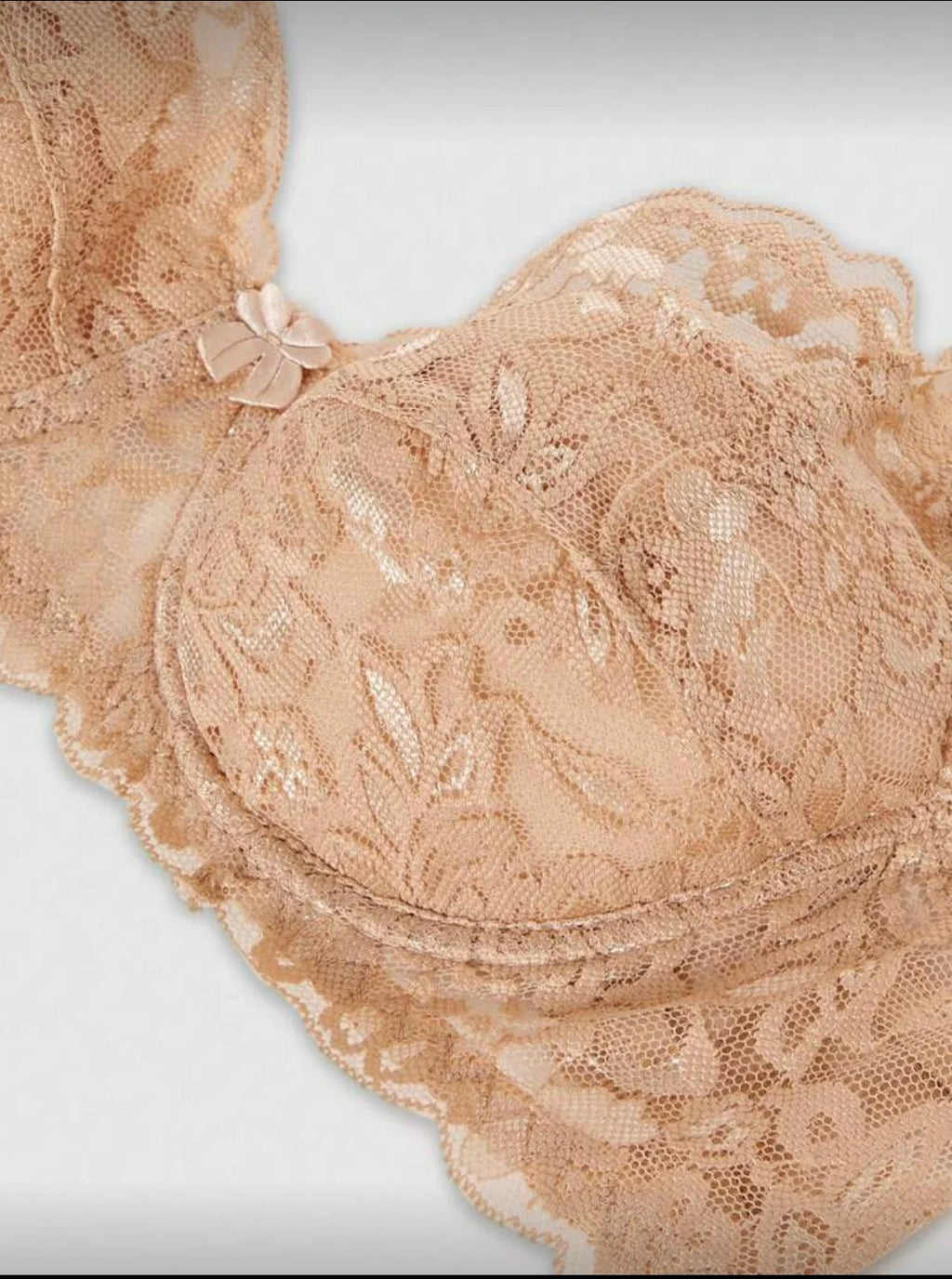 Lace Women's Bra Breast Cover Thin Cup Underwear Underwire Adjustable Push Up Bras Sexy Bralette Lingerie