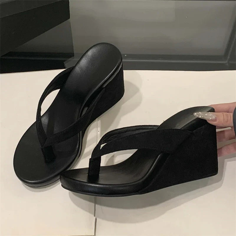 Aneikeh Fashion Summer Clip Toe Platform Wedges Women Slippers  Thick High Heels Beach Flip Flops Slide Shoes 2026