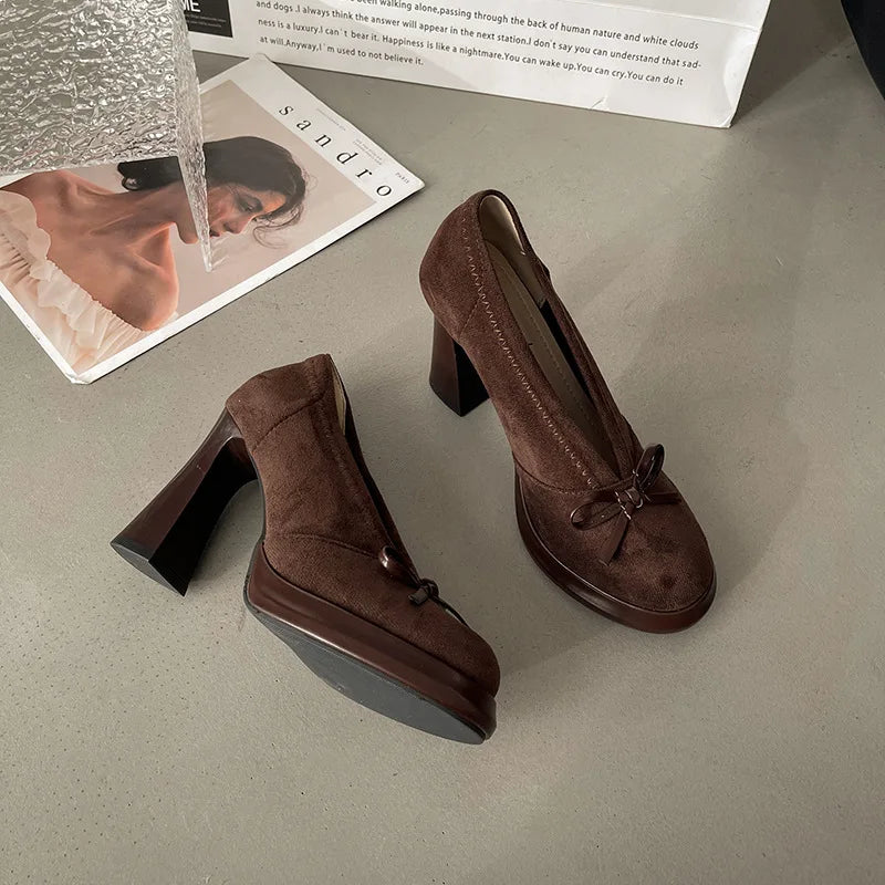 Women's High Heels 2025 Spring Autumn New Vintage Fashion Bow Knot Party Chunky Heels Outdoor Non Slip Luxury Mary Jane Shoes