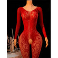 New Open Back Bras Body Suits Hanging Neck Bodystockings Erotic Crotchless Lingerie Women's Sexy Lace Mesh Hollow Underwear Sets