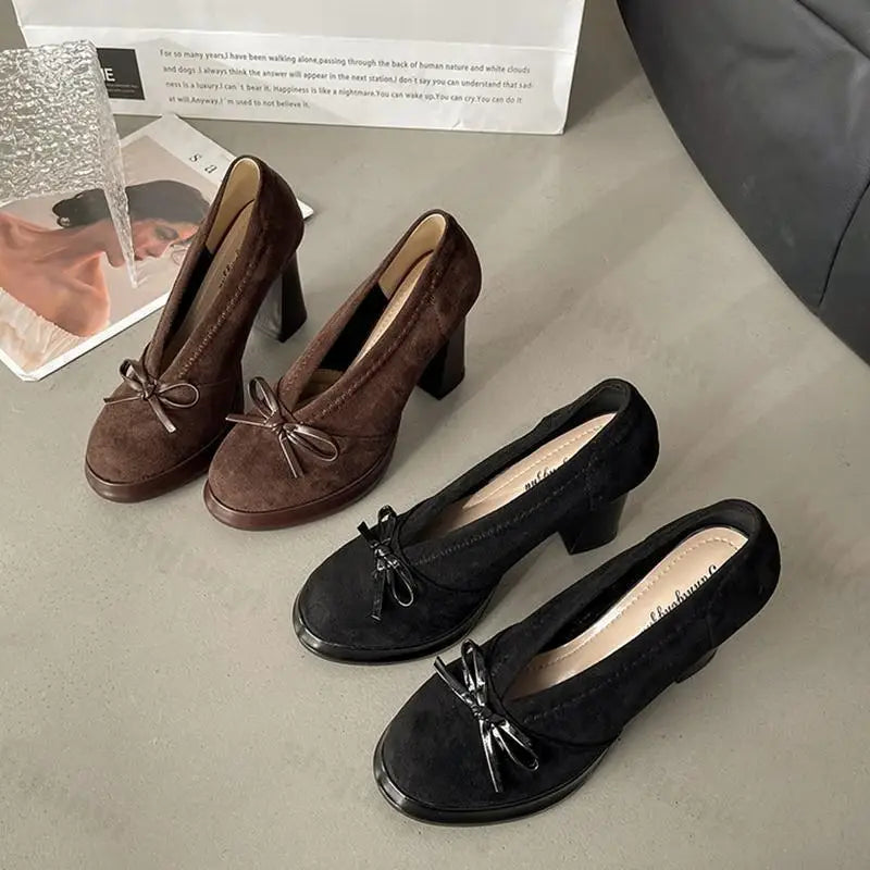 Women's High Heels 2025 Spring Autumn New Vintage Fashion Bow Knot Party Chunky Heels Outdoor Non Slip Luxury Mary Jane Shoes