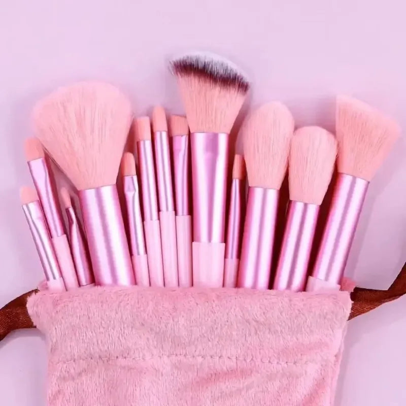 13 PCS Makeup Brushes Set, Eye Shadow, Foundation, Blush Brushes for Women, Soft Cosmetic Tools with Bag