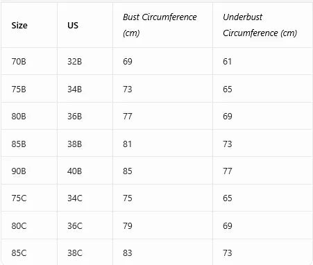 Floral Lace Women's Bra Front Clasp Padded Push up Bra Sexy Backless Underwear Trendy Women's Top
