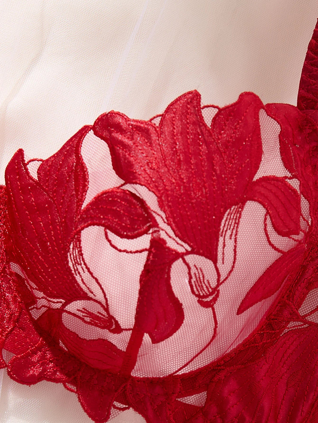 Fairy Lingerie Floral Valentine Charming Brief Panty Underwear Sexy Nighty Fancy Underwear Brief Set for Lady See Through Bra