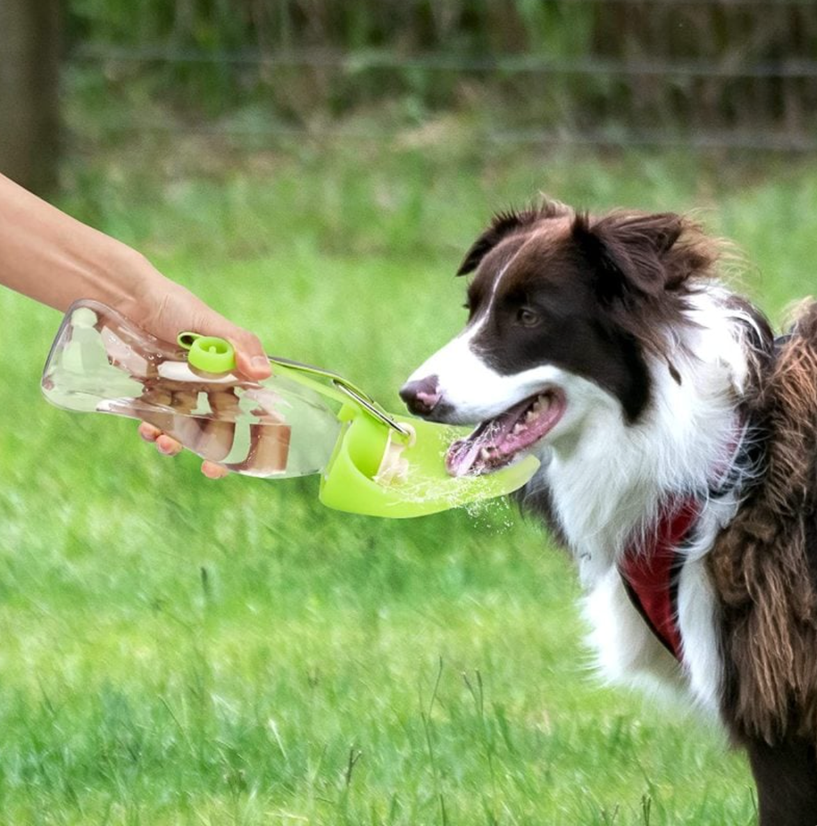 Portable Pet Water Bottle