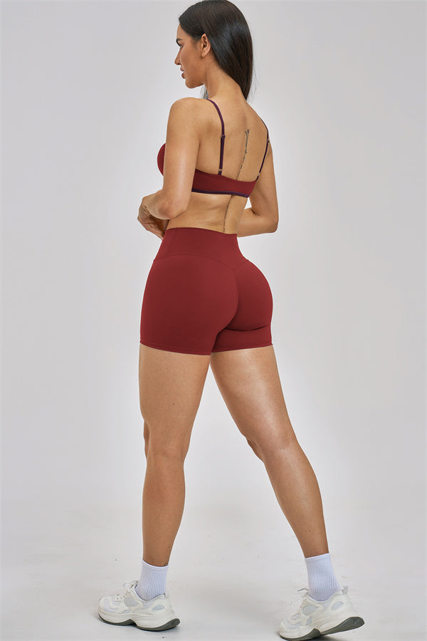 The Seraphine Sports Bra Shorts 2-Piece Set