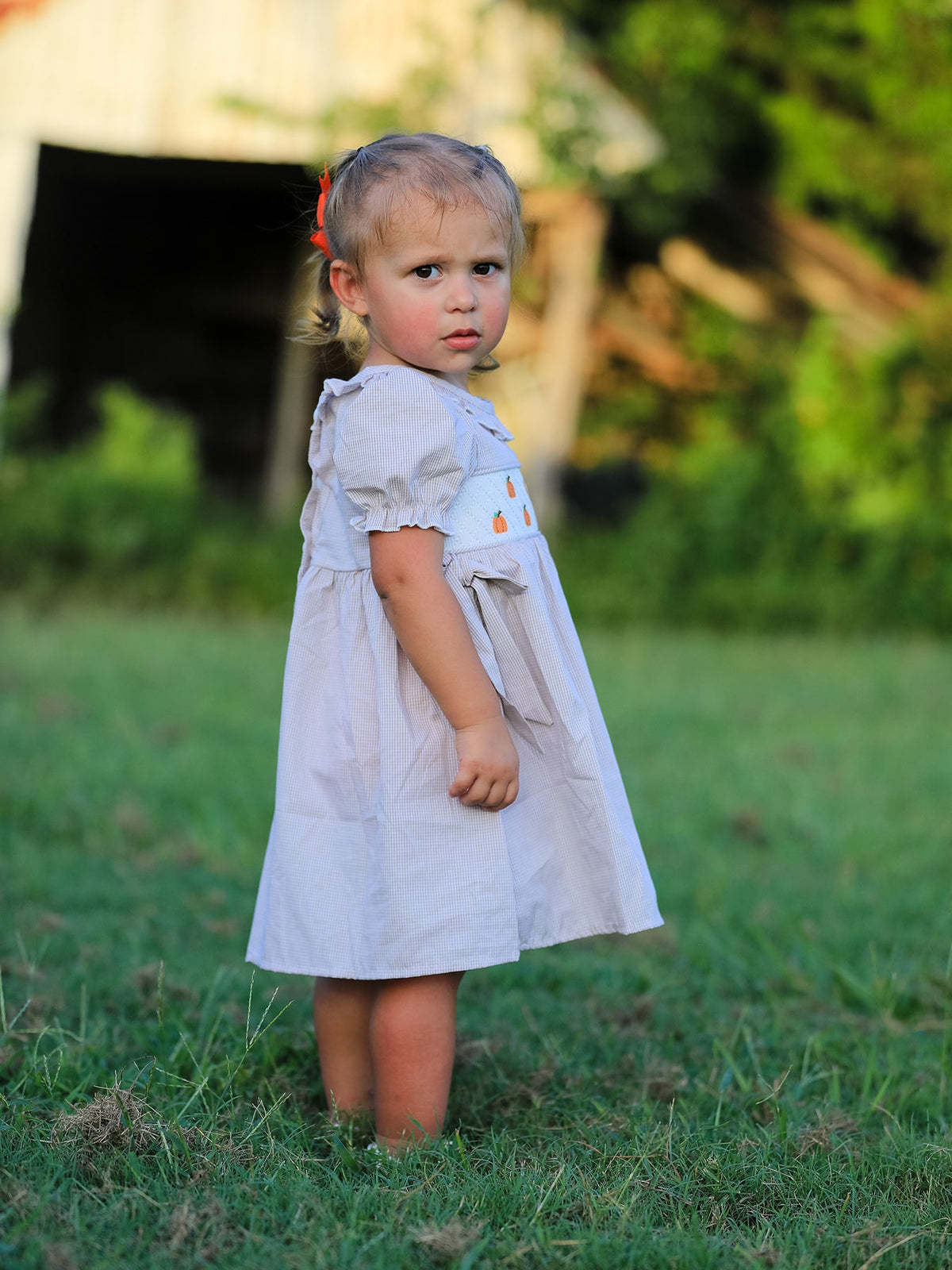Fall Thanksgiving Pumpkin Embroidery Smock Plaid Girls Dress